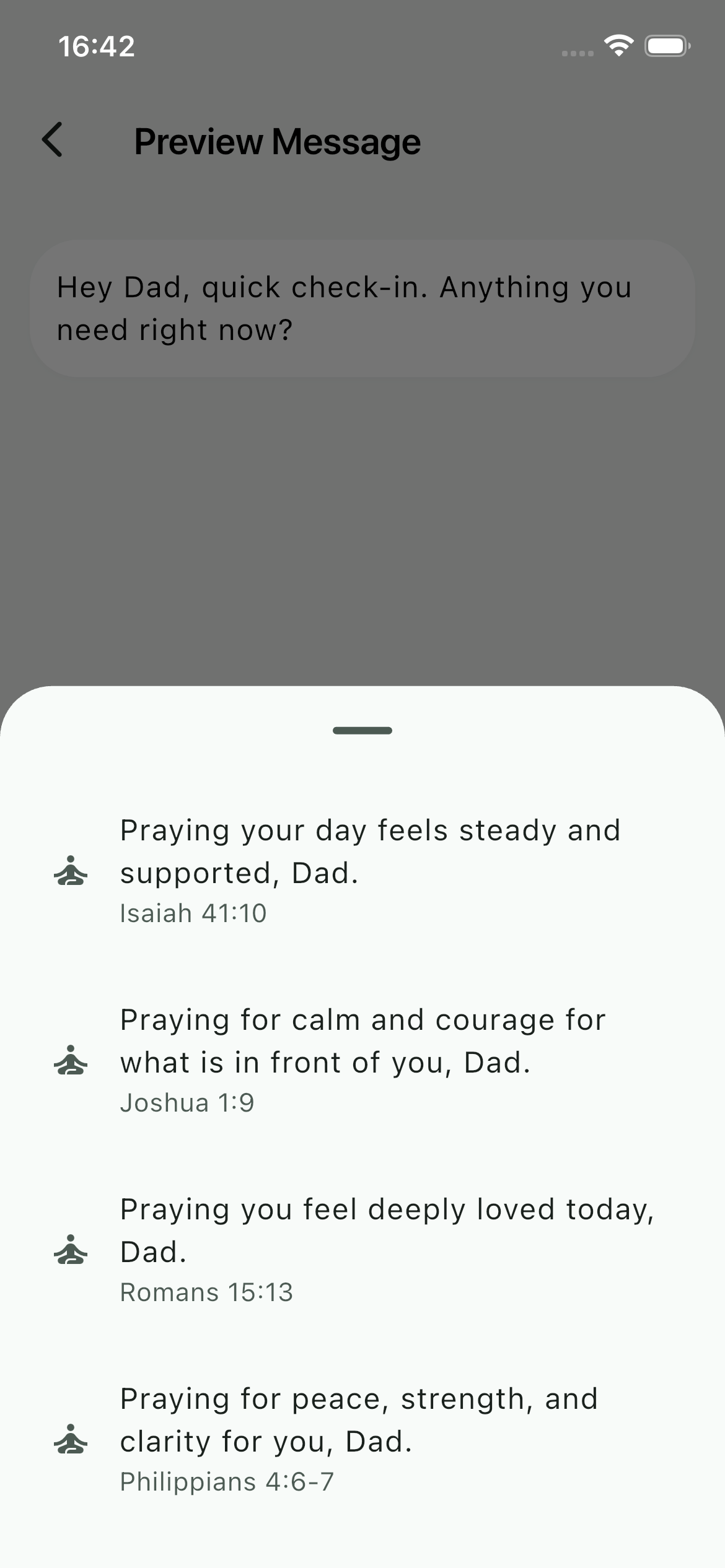 Pro messaging iPhone preview